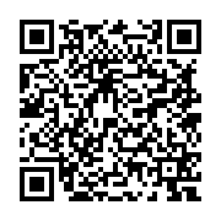 QR code for 0738618