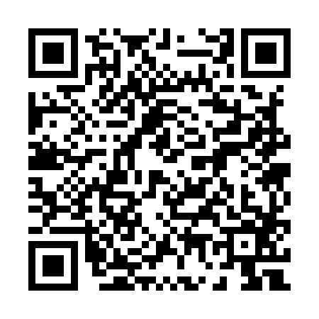 QR code for 0739868