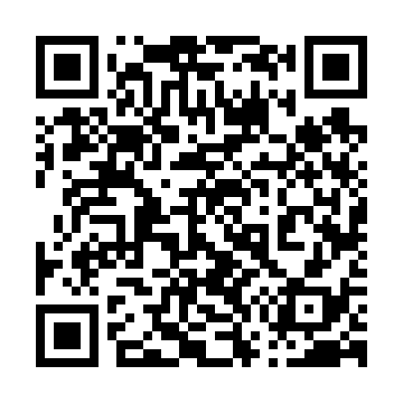 QR code for 076638