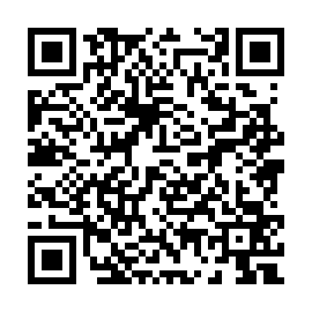 QR code for 0783638