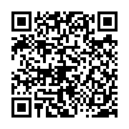 QR code for 0796105