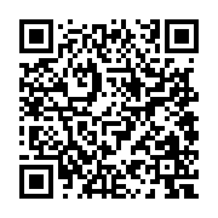 QR code for 09611