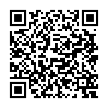 QR code for 0990263