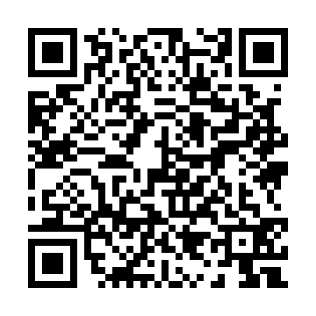 QR code for 0991329