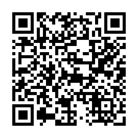 QR code for 113381