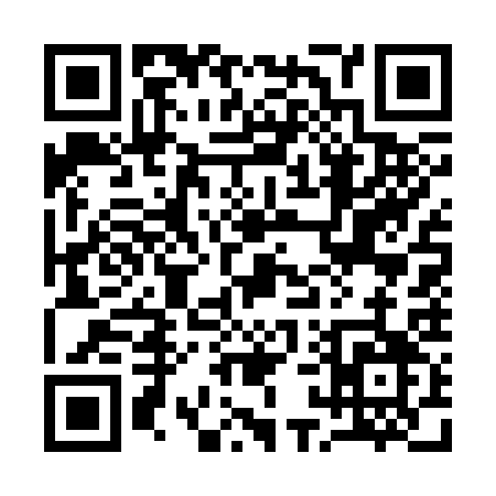 QR code for 11733