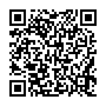 QR code for 119876