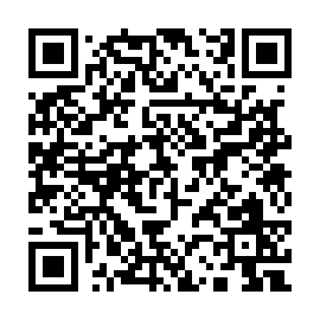 QR code for 12313