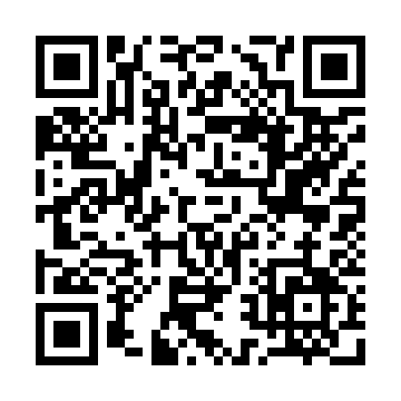 QR code for 12393