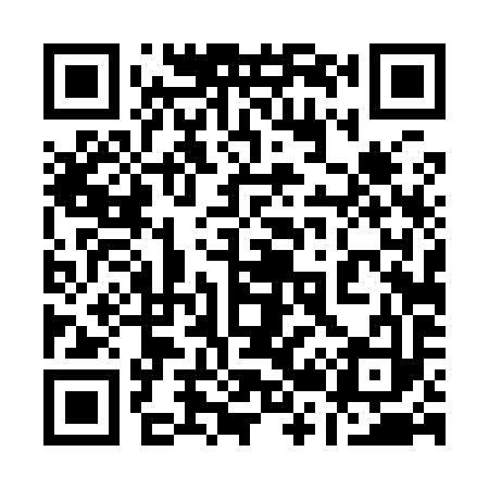 QR code for 124993
