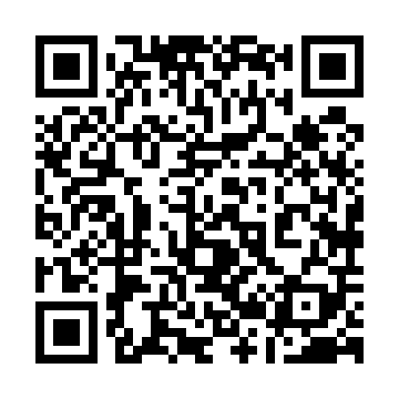 QR code for 128509