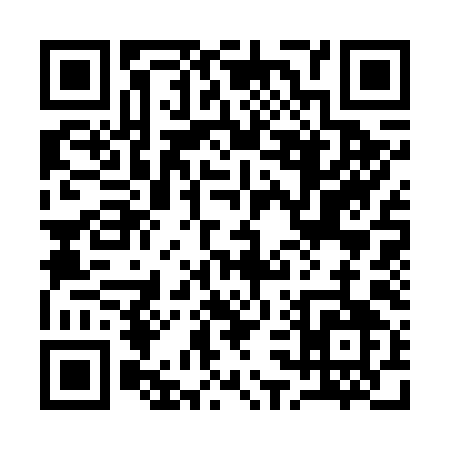 QR code for 13369