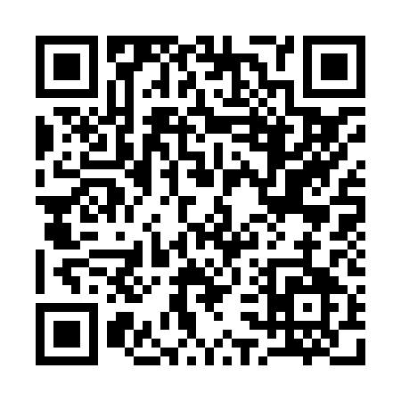 QR code for 13381
