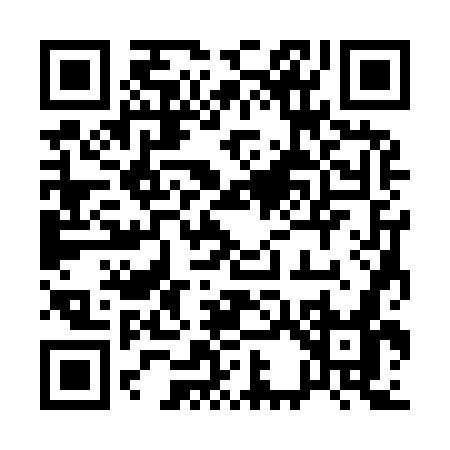 QR code for 13397