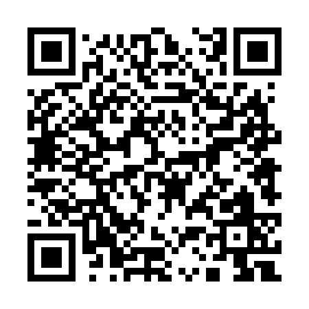 QR code for 13463