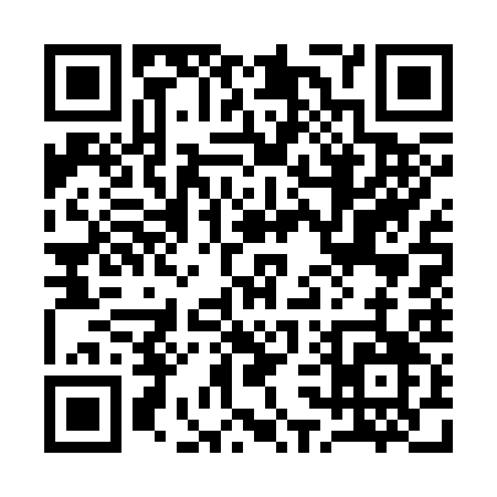 QR code for 13733