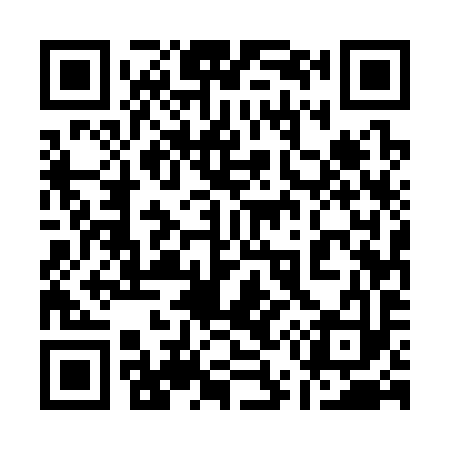 QR code for 155393