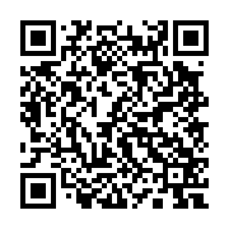 QR code for 160063