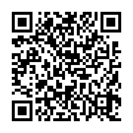 QR code for 161638