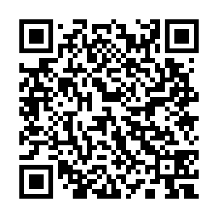 QR code for 161738