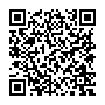 QR code for 16993