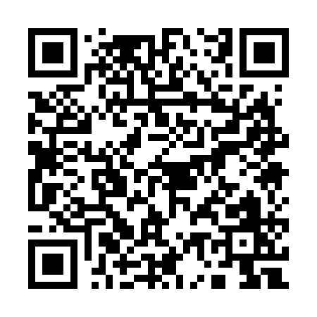 QR code for 17161