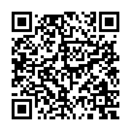 QR code for 17313
