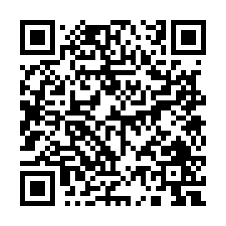 QR code for 17316