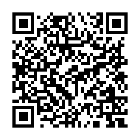 QR code for 17393