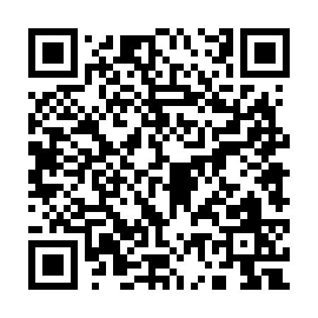 QR code for 17463