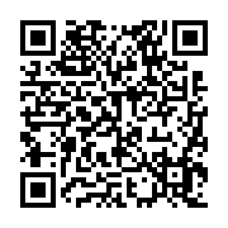QR code for 17666