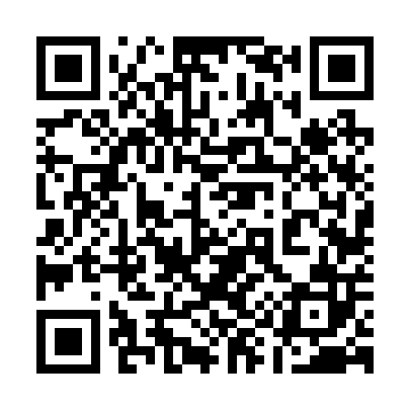 QR code for 196202