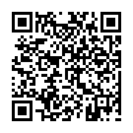 QR code for 196366