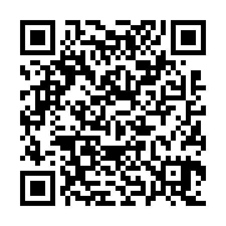 QR code for 196625