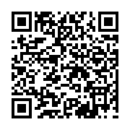 QR code for 19683