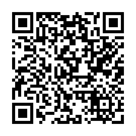 QR code for 199336