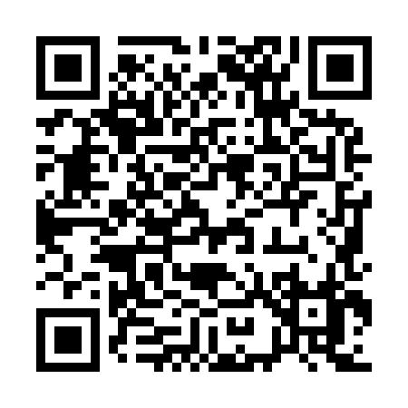 QR code for 19998