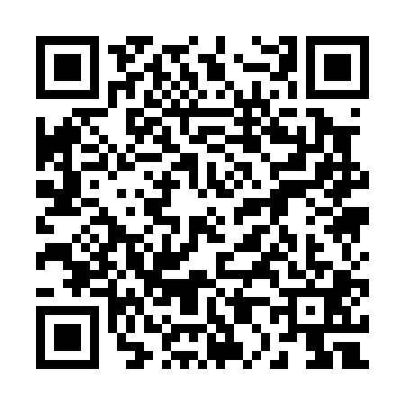 QR code for 2010017