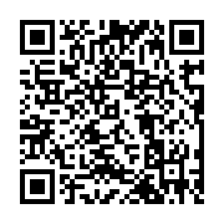 QR code for 20393
