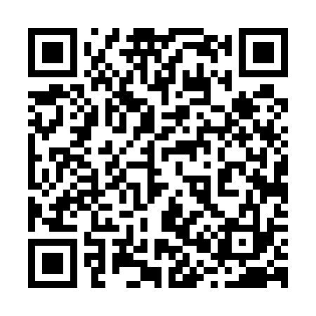 QR code for 204533