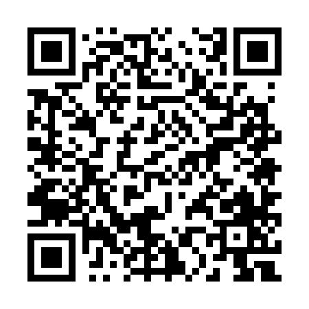 QR code for 20538