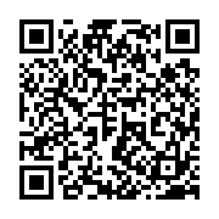 QR code for 205733