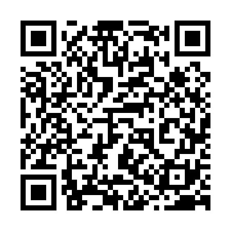 QR code for 206171
