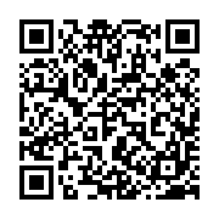QR code for 206597