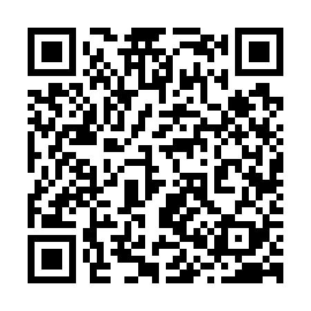QR code for 206729