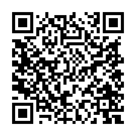QR code for 20780