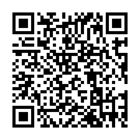 QR code for 20994