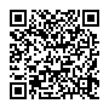 QR code for 219338