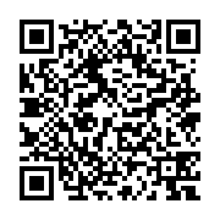 QR code for 2217381