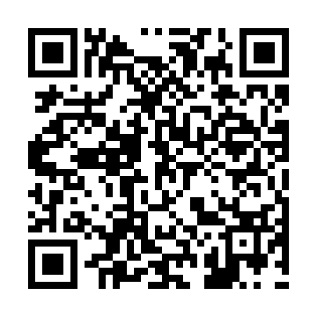 QR code for 225233